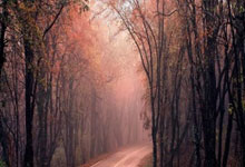 双层窗帘推荐的优质材质选择指南