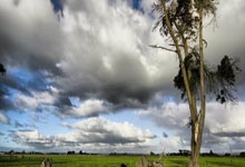 灰色彩虹墙搭配什么窗帘更合适