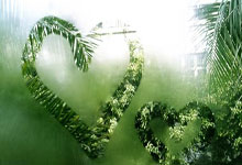 novo窗帘安装指南：一步步教你轻松上手