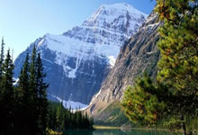 轿车窗帘新装饰，提升车内私密与舒适感